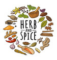 circle shape set with herb and spice vector image