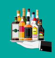alcohol drinks collection in tray vector image vector image