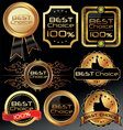 best choice elegant labels vector image