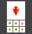 flat icon leaves set of linden aspen foliage vector image vector image