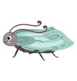 winged beetle funny face bug cute animal vector image