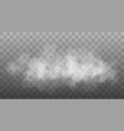 white smoke cloud isolated vector image vector image