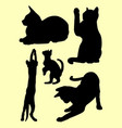 cute cats and kittens gesture animal silhouette vector image