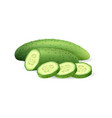ripe sliced cucumber 3d vector image vector image