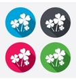 clovers with four leaves sign st patrick symbol vector image vector image