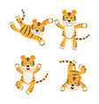 cute little tiger characters set vector image vector image