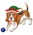 beagle dog wearing christmas hat vector image