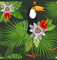 tropical seamless pattern vector image