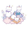unicorn cats cartoons design vector image