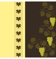 grape on brown with yellow pattern vector image vector image