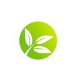 green leaf organic round logo vector image