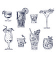 sketch cocktails alcoholic drinks vector image