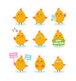 cute little chicks bunner with greeting speech vector image