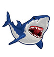 blue shark realistic cartoon vector image