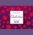 fashion autumn sale poster vector image vector image