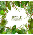 tropical jungle lianas and palms banner with space vector image