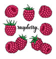 set beautiful cartoon pink raspberry vector image vector image