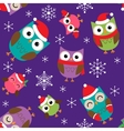 christmas pattern with owls vector image vector image
