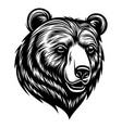 bear head symbol vector image vector image