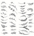 big collection floral calligraphic branches vector image