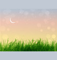 leaves of grass and stars in sunrise sky vector image vector image