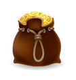 treasure money sack vector image vector image