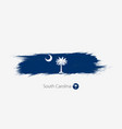 flag south carolina us state grunge abstract vector image