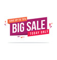 big sale style price label collection discount vector image