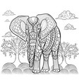greeting beautiful card with elephant frame vector image