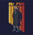 pug dog fashion vector image vector image