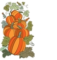 pumpkin background seamless pattern vector image
