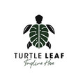 turtle leaf inspiration logo design vector image vector image