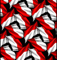 country flag pattern template vector image