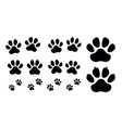 paw icon set black print of dog and cat vector image vector image