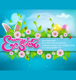 easter background with colored eggs bunny ears vector image