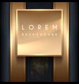 gold luxury frame template background vector image