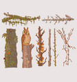 hand drawn forest trees set vector image