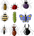 insects vector image