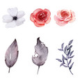 flower collection watercolor isolated vector image