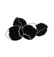 hazelnut icon black vector image