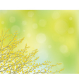 flowers background vector image vector image