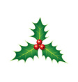 holly vector image