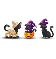 set of halloween black cat vector image