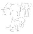set with the outline of an elephant front side vector image