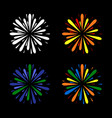 fireworks set color on black background vector image