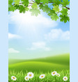 autumn landscape grass hill maple branch vector image