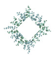 eucalyptus border frame on white background vector image