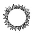 hand drawn background with jojoba vintage vector image