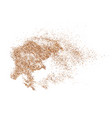 coffee color grain texture vector image