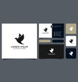 dove animal bird logo design concept vector image vector image